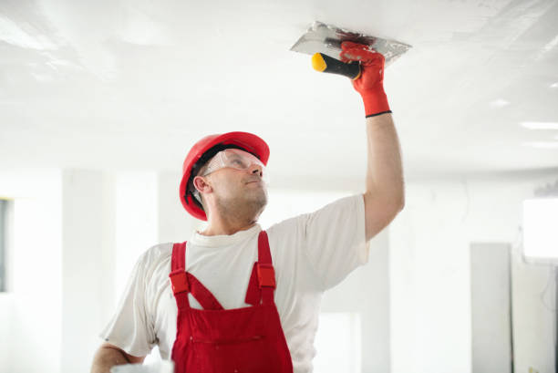 Best Mold Documentation for Insurance Claims  in Haubstadt, IN
