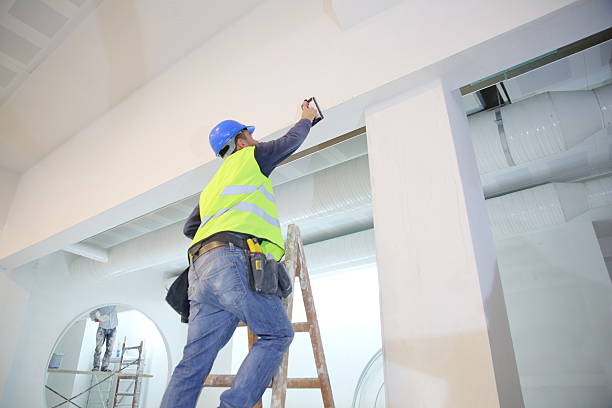 Best Mold Odor Removal Services  in Haubstadt, IN