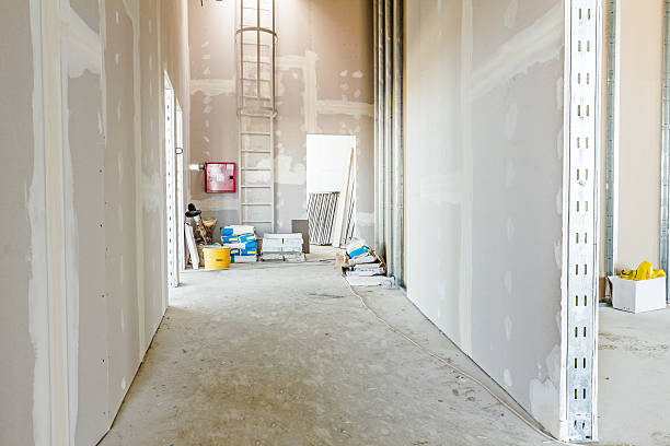 Mold Odor Removal Services in Haubstadt, IN