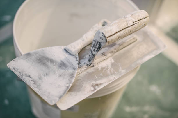 Best Post-Construction Mold Inspection  in Haubstadt, IN